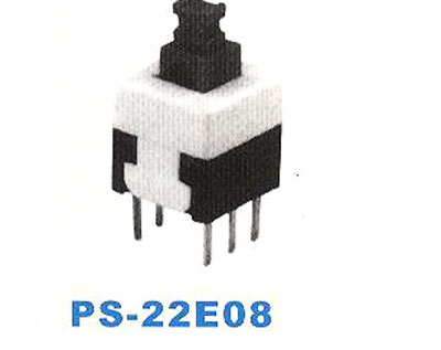 PS-22E08