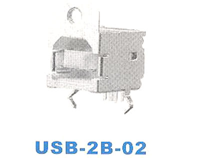 USB-2B-02